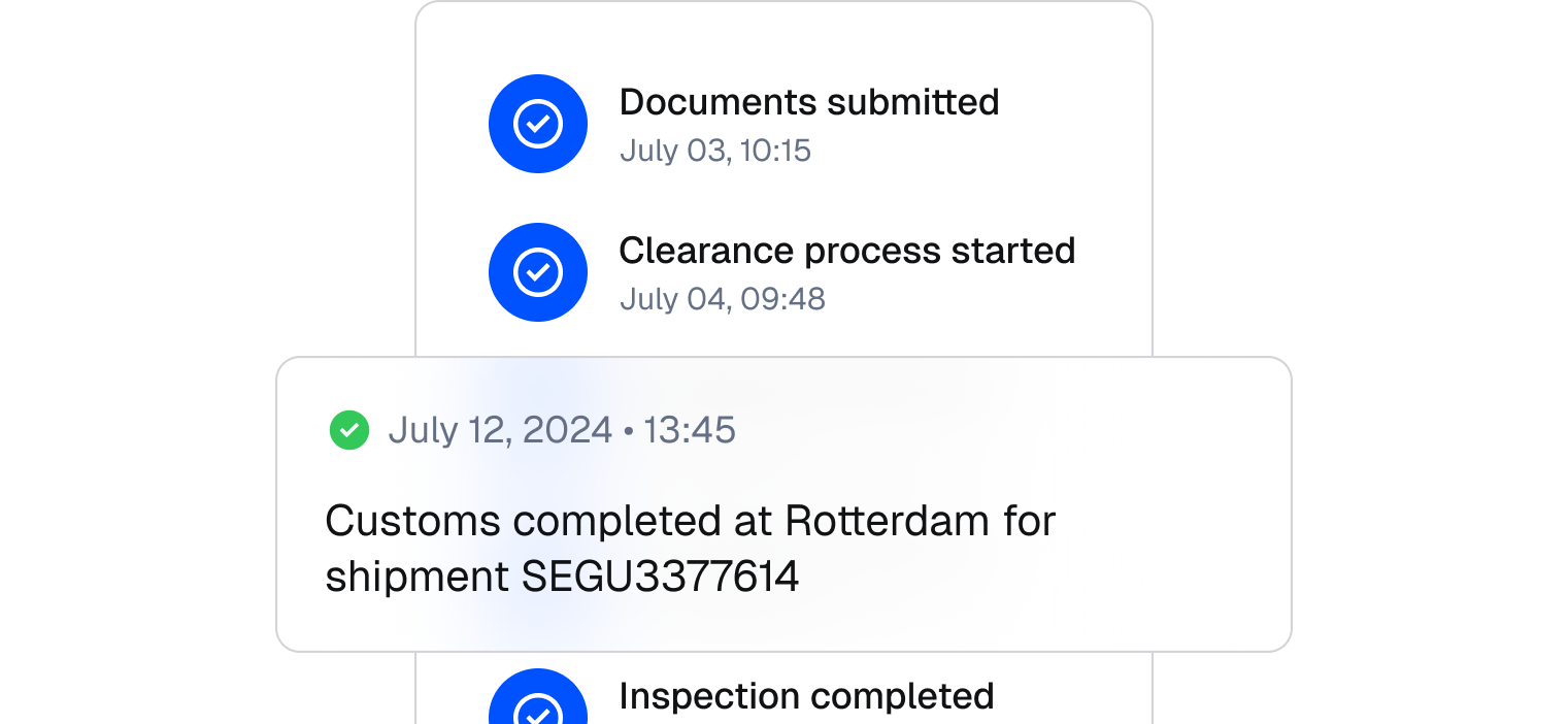 Customs process illustration